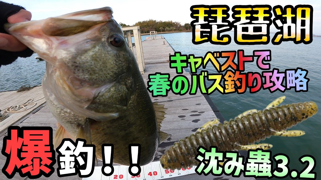 春の琵琶湖バス釣りはこのアクションで釣れる！一誠-issei-沈み蟲3.2インチのキャベストでバスを呼ぶ！2023年の琵琶湖バスフィッシングは春が早い！？琵琶湖オカッパリでこのアクションは最強説