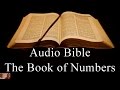 The Book of Numbers - NIV Audio Holy Bible - High Quality and Best Speed - Book 4