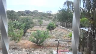 10 20150811 153633