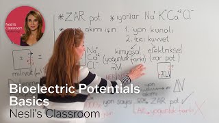 Bioelectric Potentials Basics