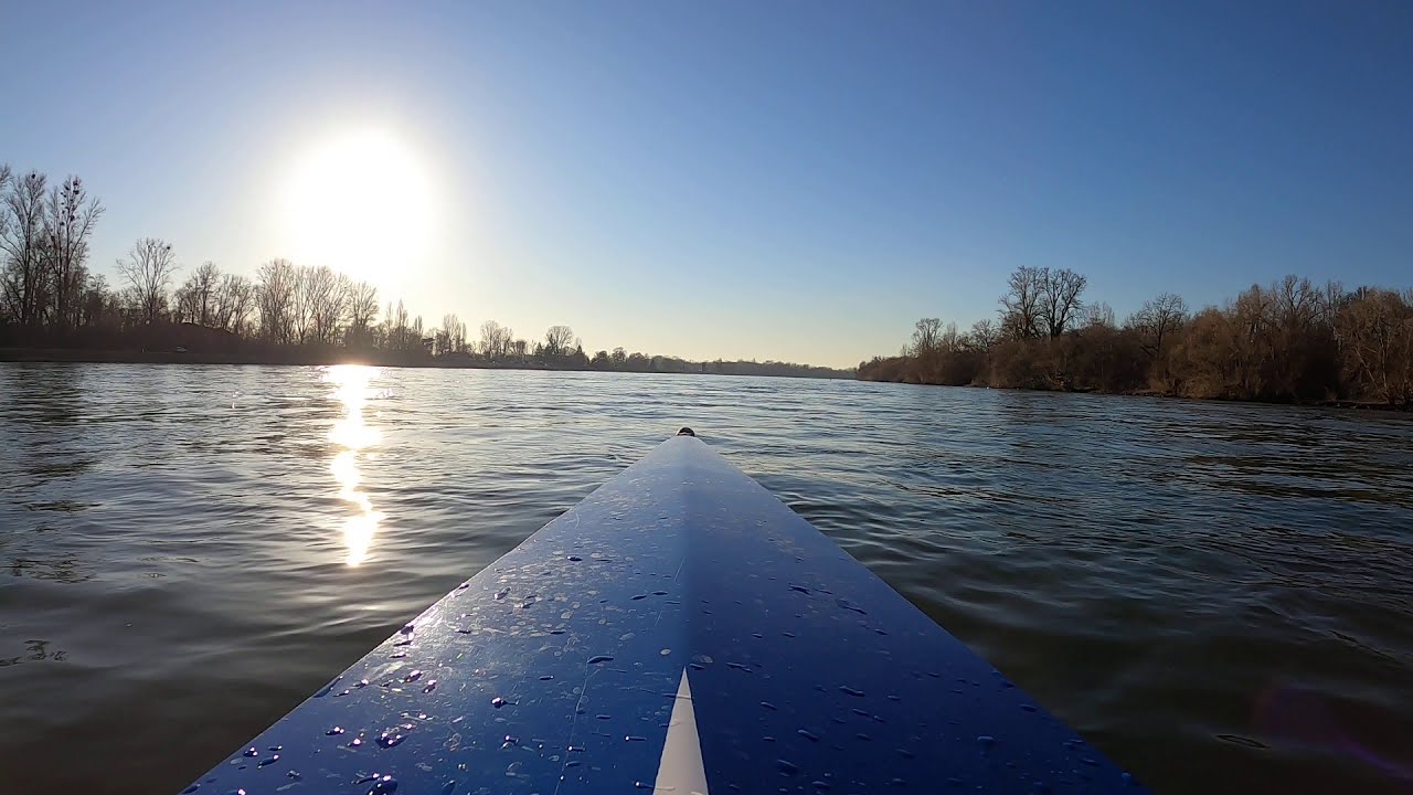 Rudern auf dem Rhein in Mannheim - Impressionen 2021 | Mannheimer Ruder-Club
