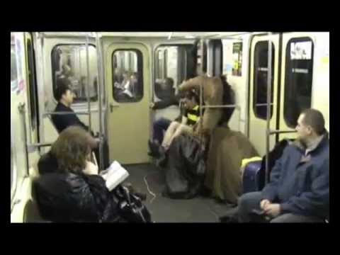 Человек Конь Пчела