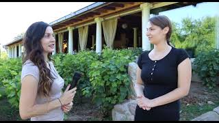 Vinski Podrum Malča - Vino I Vinogradarstvo