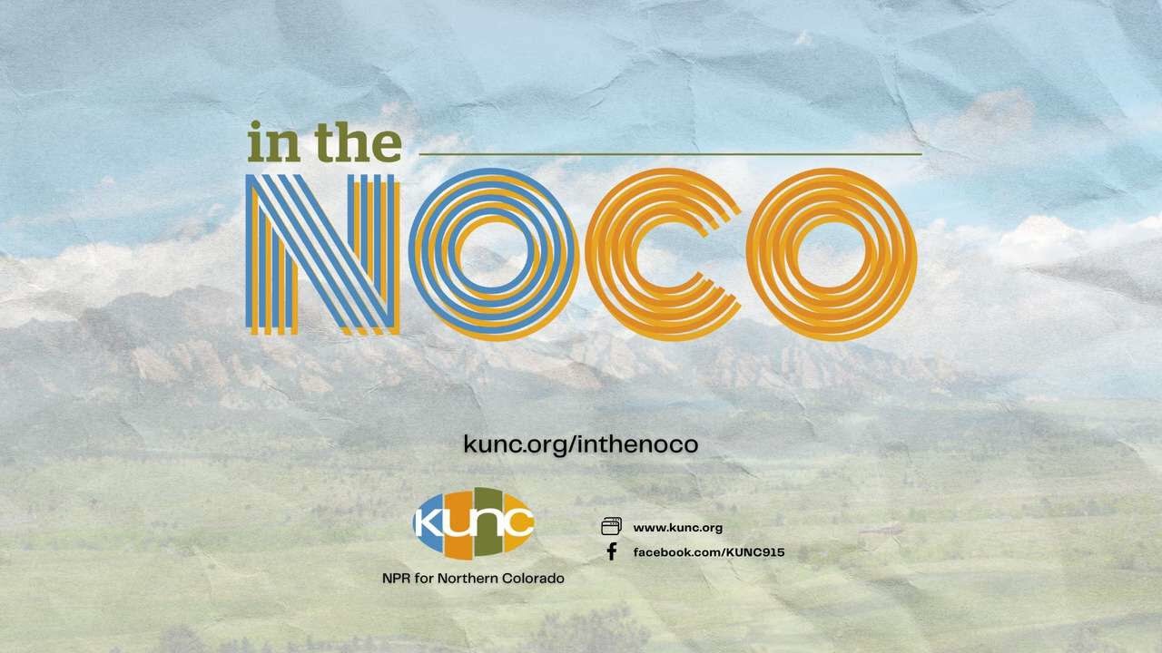 Is it ‘ballot box biology’ – or  do Colorado’s mountain lions really need protection from hunting?