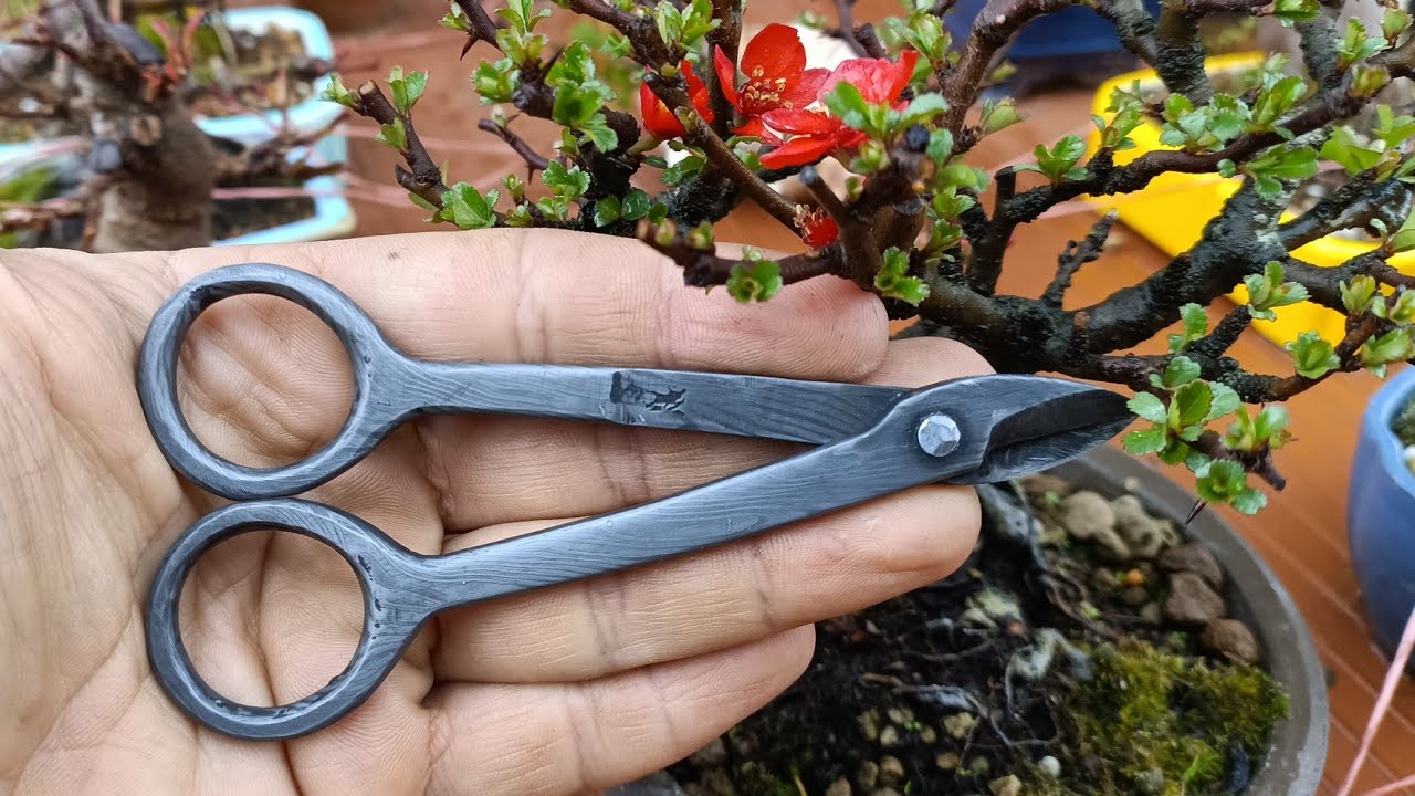 Hice unas Masakuni de damasco. Tijeras corta alambre de bonsai tipo Masakuni