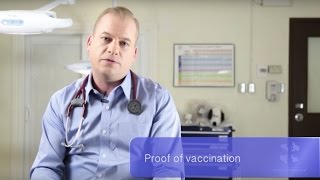 Vet Guide What You Need To Know If Youre Traveling To A Different Country With Your Pet