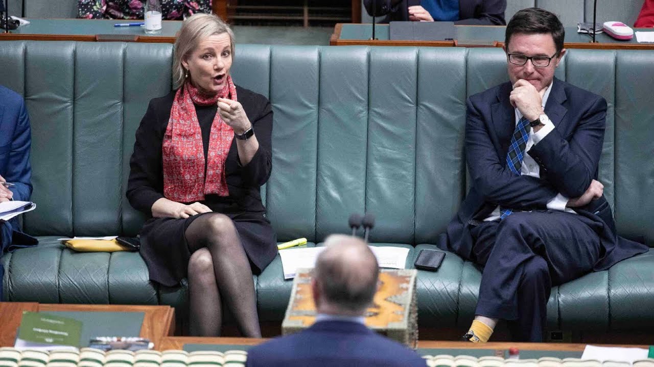 ‘All eyes watching’ Ley and Littleproud’s shadow cabinet decision