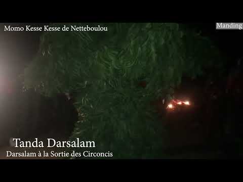 Mamo Kesse Kesse De Netteboulou à Darsalam Tanda 07 01 2024 