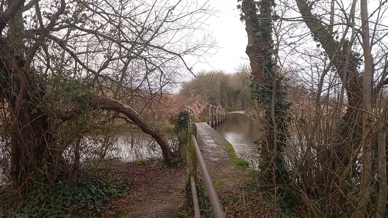 Ringwood, Bickerley Mill Stream 30/12/21 YouTube