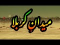میدان کربلا میدان کربلا