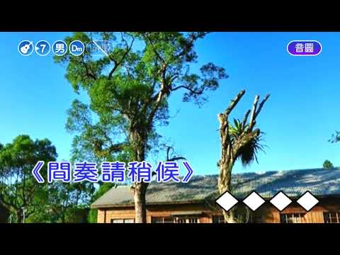 小小羊兒要回家 男D調 伴奏 導唱 速度 5甲