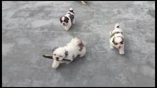 Available 😍😍📞8287479674