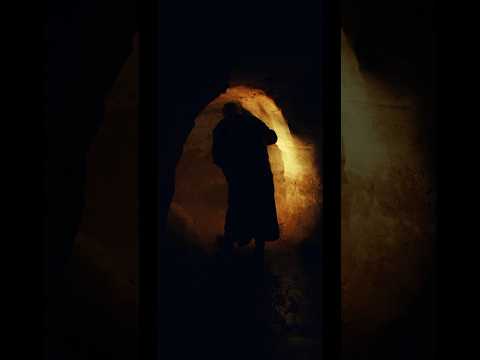 الخفافيش Fact Animal حياة Nature Foryou