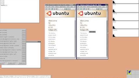 Cassowary Constraints inside the Scheme Constraints Window Manager circa 2000 by Greg Badros