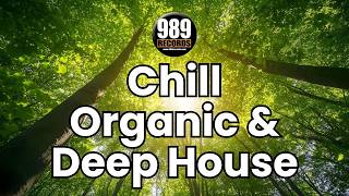 Chill, Organic &amp; Deep House 24/7 🌿 AURA Radio • 989 Records (Study/Relax/Focus)[989 Records] -