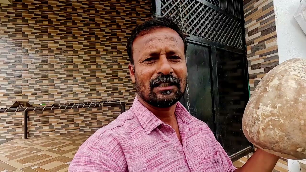 चिमणी साठी घर केलं काय होतंय पाहू