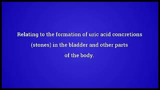 Lithic Meaning