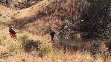 Pointers and flushers