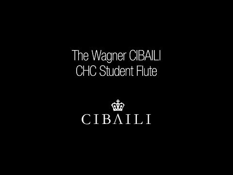 CIBAILI C-foot Student Flute with Split-E
