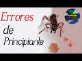 Errores que cometí en mis inicios cuidando hormigas | Colaboración con Nacion Hormiga