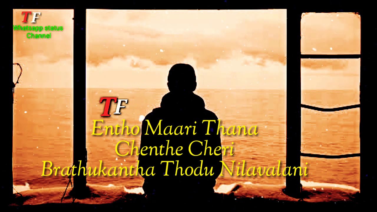 gayam chesesave song WhatsApp status | TF Whatsapp status channel