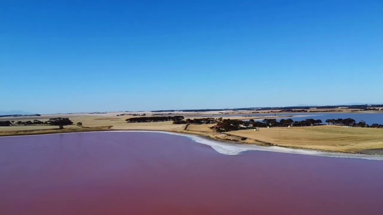 The world still knows how to surprise us sometimes with a Pink lake 🌸 Nature blushing in silence ☺️