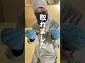 ヒナの脚バンドをはずします。【美里オーストリッチファーム】#shorts