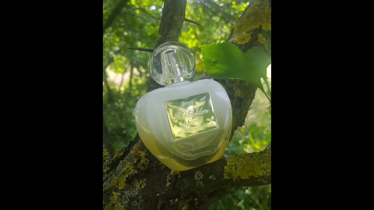 Antonio Banderas Her golden Secret 💛 