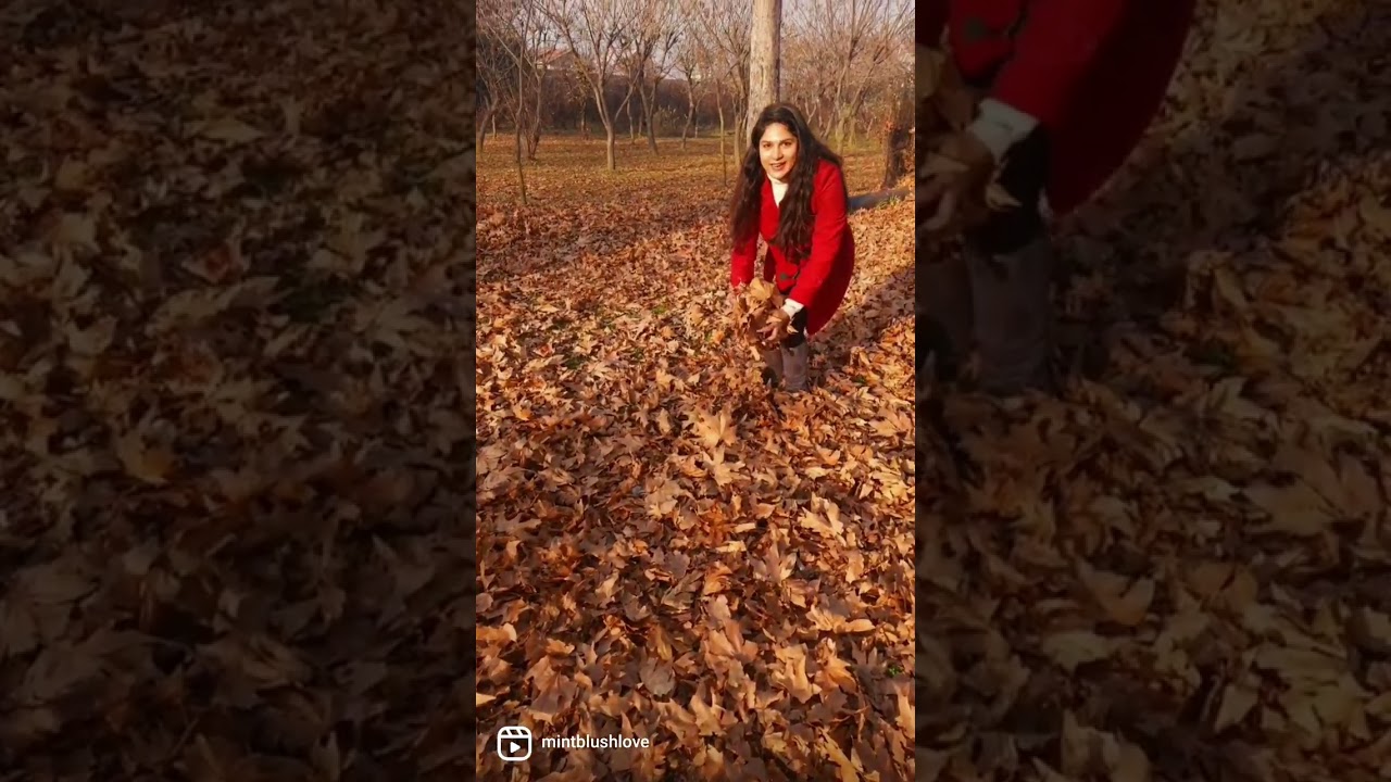 Kashmir Diaries|Srinagar|Fall vibes