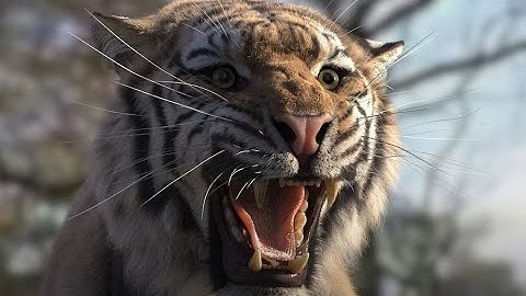 CG Tiger Showreel 2020