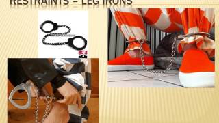 Inmate Transportation screenshot 5