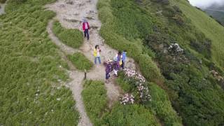 20170612 13清境 合歡山東峰