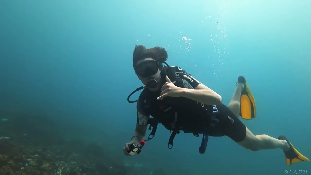 Dive Tribe Zanzibar, just in front of the Dive Center, July 2024.