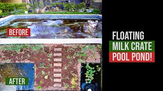 DIY Floating Garden Pond with recycled milk crates!