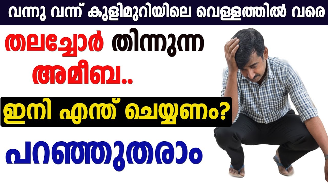 Амёба ест мозги даже в воде из ванной. Что мне теперь делать? Не бойся... Я тебе расскажу.