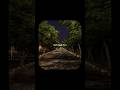 Pehli dafa ✨🥀 - (satyajeet) lyrics status aesectic status #shorts #song #lofi