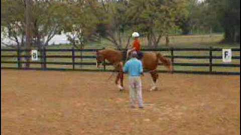 Vaulting 5 01 09 Video 0001