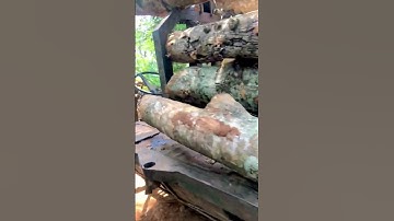 xe công nông chở gỗ muồng#côngnônglốpđôi #cơkhíkưêban