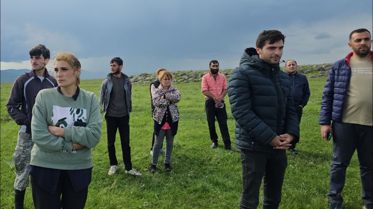 Արտակարգ դեպք Զարիշատ գյուղում․ գայլերը հոշոտել են գյուղացիների մոտ 20 խոշոր եղջերավոր անասունները