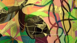 Four Parrots -- Kinetic Polarized Light Polage Art By Austine Wood Comarow