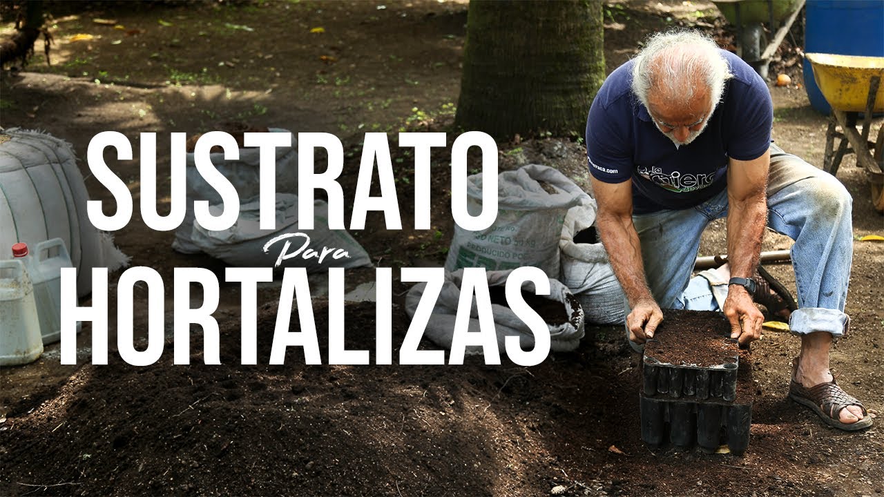 CÓMO PREPARAR SUSTRATO PARA HORTALIZAS | Jairo Restrepo Rivera