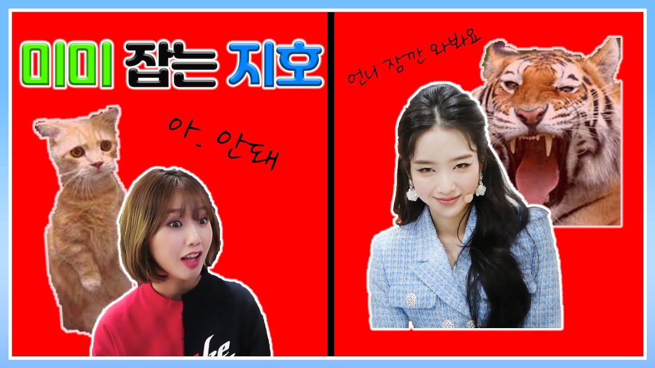 [Eng sub] 미미 잡는 지호