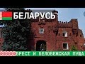 Западная Беларусь:  Брестская крепость и Беловежская пуща