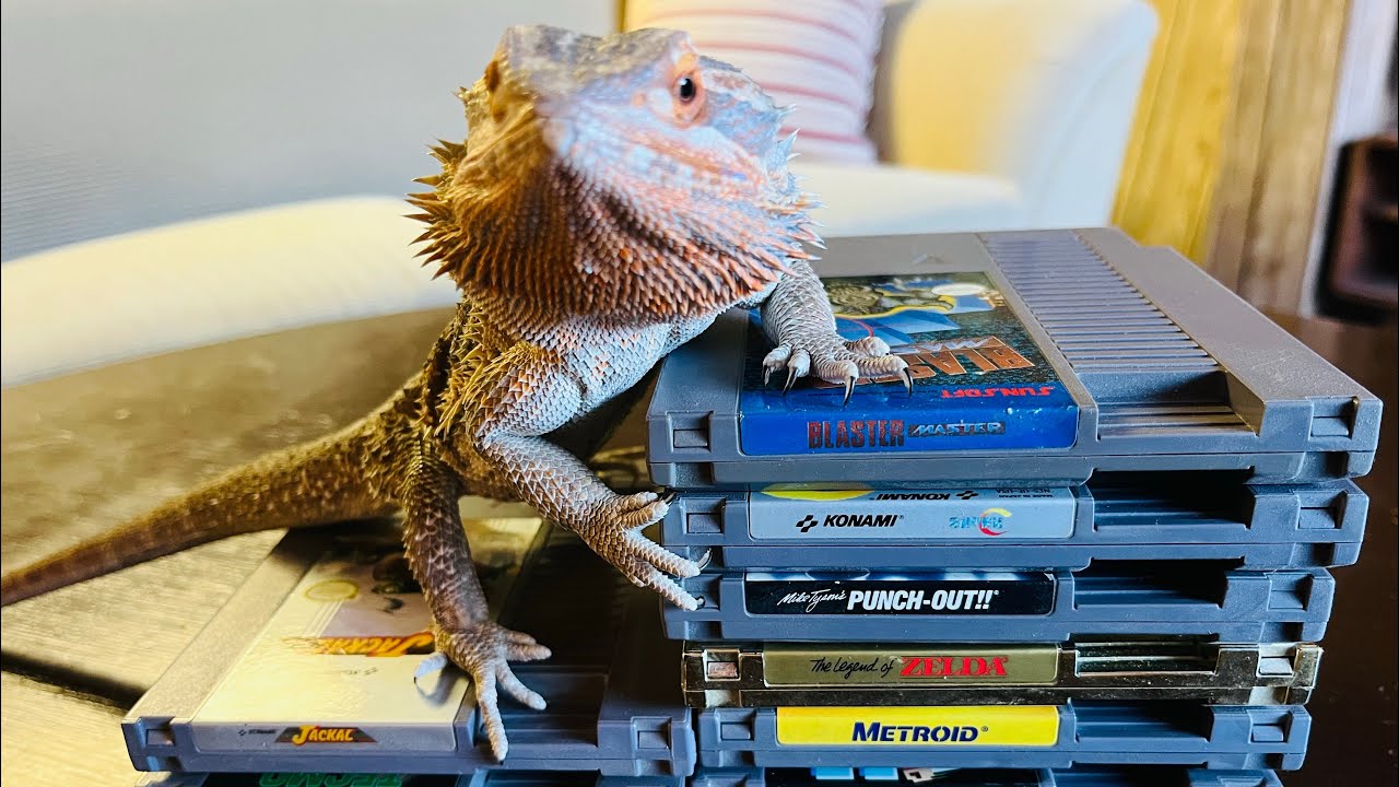 top-10-nes-games-youtube