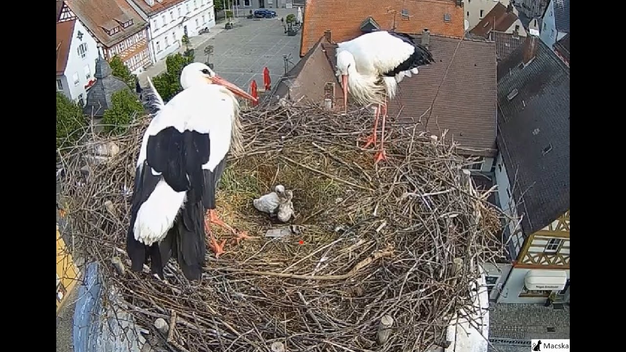 Höchstadt a.d. Aisch DE - Beschreibung unter dem Video
