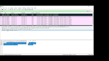 Lab 3.7.10 Use Wireshark to View Network Traffic