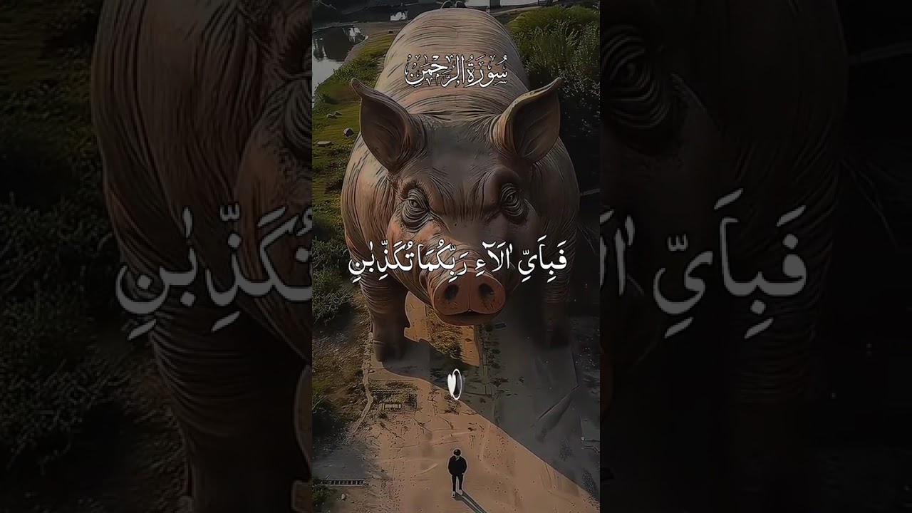 surah Rehman complete translation must full watch  
