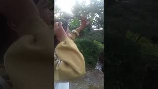 pulkam ,kabupaten Garut berada #jangkauanluas #videoviral #fypシ #janganlupasubscribe