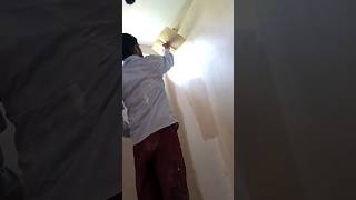 Cream colour fast cort || wall paint cream colour 🏡 #creamcolour #pait #shorts