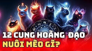 Khám Phá! 12 Cung Hoàng Đạo Nuôi Mèo Gì | Bác Sĩ Trung